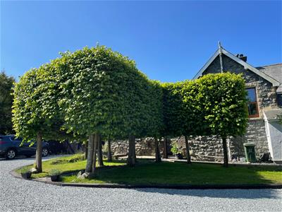 Picture 30